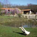 Pasqua: pienone negli agriturismi, complice il tempo buono previsto