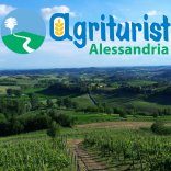 Alimentazione nel carrello della spesa: il concorso per le scuole  indetto da Agriturist Alessandria