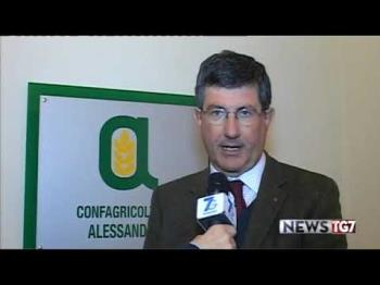 Annata Agraria 2024: dati non confortanti per le produzioni agrarie e il settore zootecnico. Brondelli: “Le aziende devono essere salvaguardate nel loro potenziale produttivo”