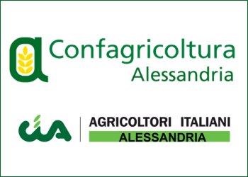 Cia Alessandria e Confagricoltura Alessandria: Condividiamo i motivi della protesta. Giusto non mettere bandiere, ma facciamo la nostra parte