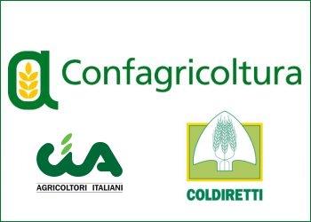 Rinnovo dellAccordo Collettivo sui Contratti Agrari