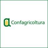 Confagricoltura: lItalia leader in Europa per valore della produzione agricola e numero di occupati