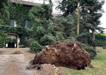 Grandine e raffiche di vento hanno provocato ingenti danni nellalessandrino 