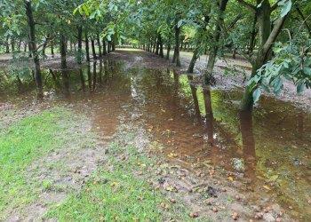 Confagricoltura Alessandria sul maltempo: le imprese agricole sono le prime colpite