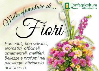 Mille sfumature di fiori nelle Città del Vino. I primi incontri ad Acqui Terme l8 e il 22 febbraio