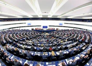 Grandi carnivori: Bene il voto del Parlamento Ue per il loro contenimento