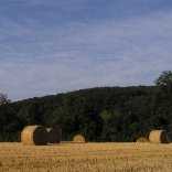 Programma di Sviluppo Rurale lento e con troppi problemi. Il Piemonte terzultimo per capacit di spesa dei fondi europei