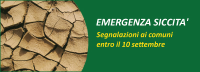 Confagricoltura Alessandria: in Piemonte semine condizionate  da siccitagrave; e carenza di fertilizzanti