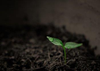 Earth Day, giornata importante per ricordare il ruolo del settore primario