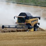 Campagna cerealicola: si trebbia con difficolt per il maltempo