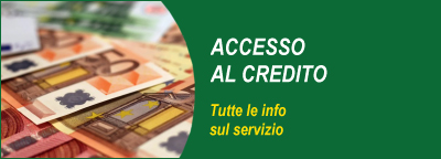 Gli speciali: accesso al credito