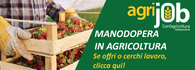 Gli speciali: agrijob