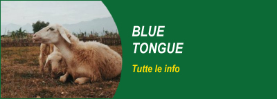 Blue Tongue