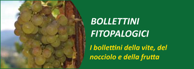 Gli speciali: bollettini fitopatologici