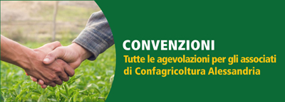 Gli speciali: convenzioni