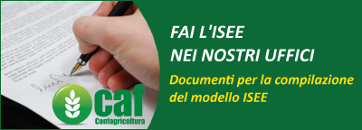 Fai l'Isee nei nostri uffici