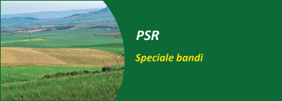 Bandi aperti del Psr