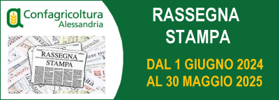 Rassegna stampa