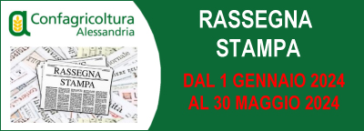 Rassegna stampa