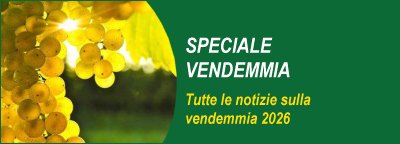 Gli speciali: Speciale Vendemmia