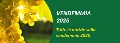 Gli speciali: Vendemmia 2025