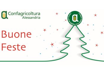 Chiusura uffici per le festività natalizie