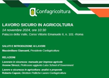 Confagricoltura per il “Lavoro sicuro in agricoltura”. Giovedì 14 novembre a Palazzo della Valle, con i ministri Calderone, Lollobrigida e le parti sociali coinvolte