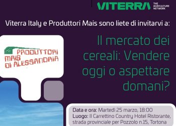 Il mercato dei cereali: vendere oggi o aspettare domani? Incontro con Viterra