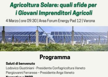 Agri-solare: quali sfide per i giovani imprenditori agricoli. Convegno dellAnga a Fieragricola il 4 marzo