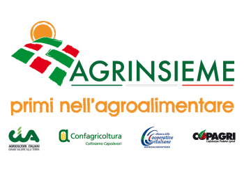 Lavoro, Agrinsieme: Loccupazione in agricoltura ha tenuto, perche lattività di produzione non si è mai fermata