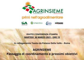 Agrinsieme: il 30 marzo conferenza stampa quot;passaggio di coordinamento e prossimi obiettiviquot;