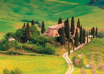 Aperto il bando regionale Investimenti nelle aziende agricole per la diversificazione in attivitagrave; non agricole