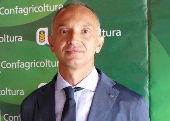 Peste suina, Confagricoltura plaude allimpegno della Regione