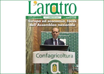 Sfoglia LAratro online