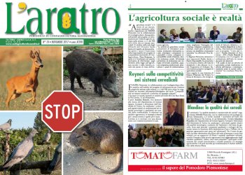 Sfoglia laratro online