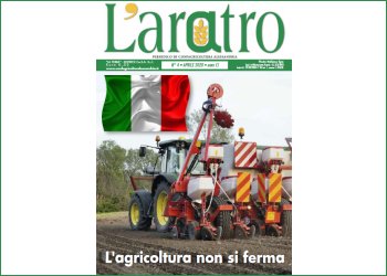 Sfoglia LAratro online