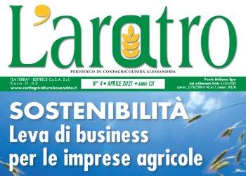 Sfoglia LAratro online