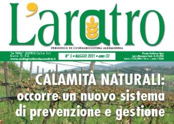 Sfoglia laratro online