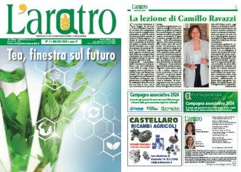 Sfoglia laratro online