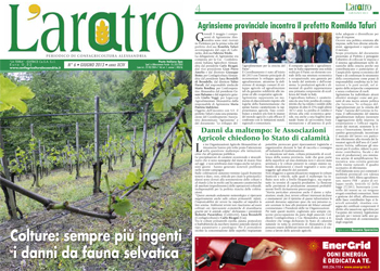 Sfoglia laratro on-line