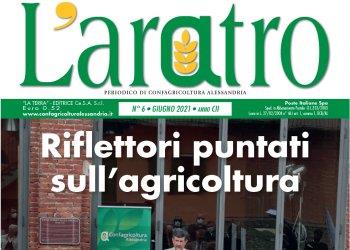 Sfoglia LAratro online