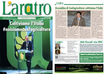 Sfoglia laratro online