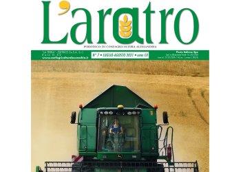 Sfoglia laratro online