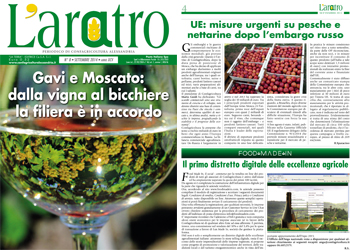 Sfoglia laratro on-line