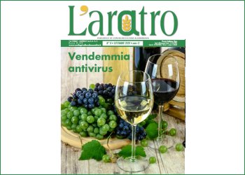 Sfoglia LAratro online