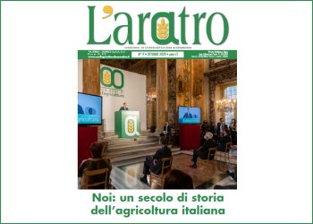 Sfoglia LAratro online