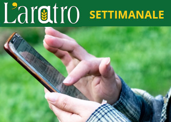 L'aratro settimanale, il numero 24