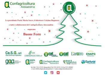 Auguri di buone Feste
