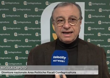 Novità fiscali, il servizio di Telecity