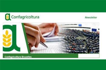 Miscellanea attualitagrave; Bruxelles del 14/02/2020